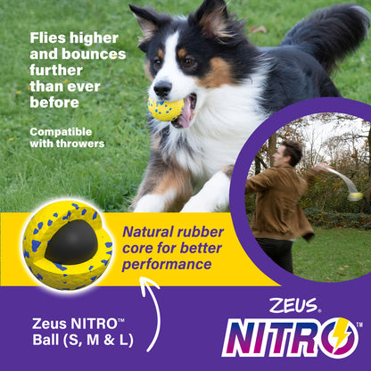 Zeus Nitro Weighted Ball Dog Toy