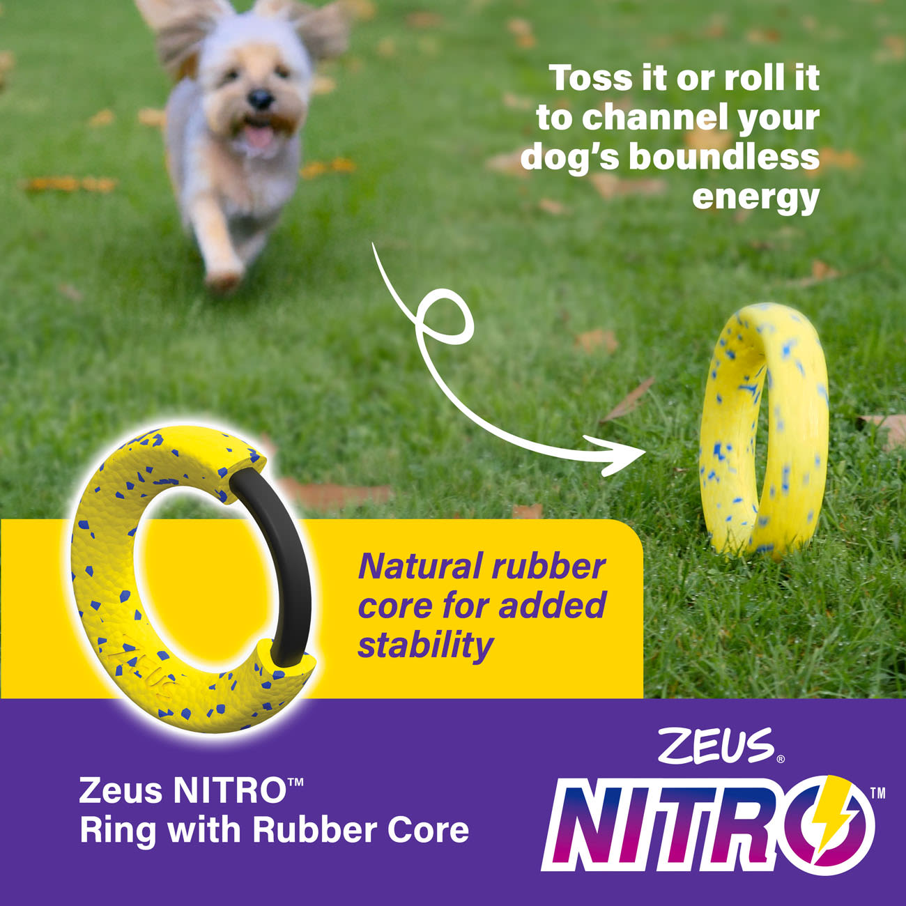 Zeus Nitro Weighted Ring Dog Toy