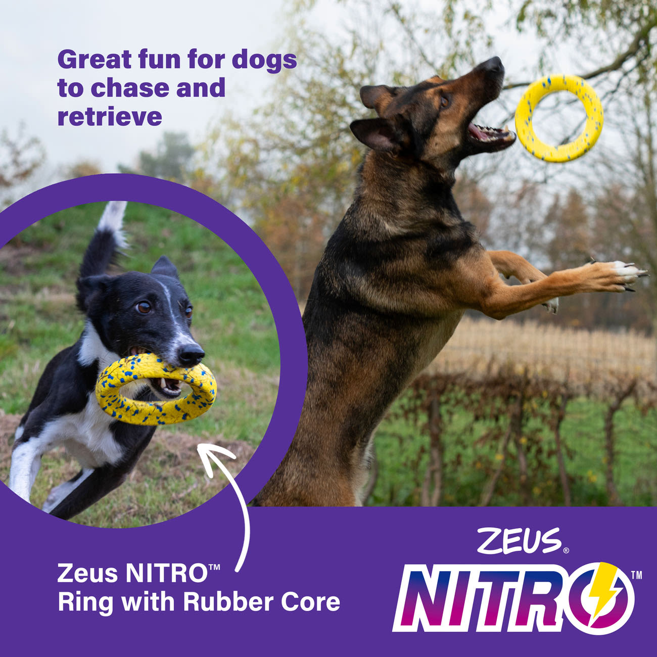 Zeus Nitro Weighted Ring Dog Toy