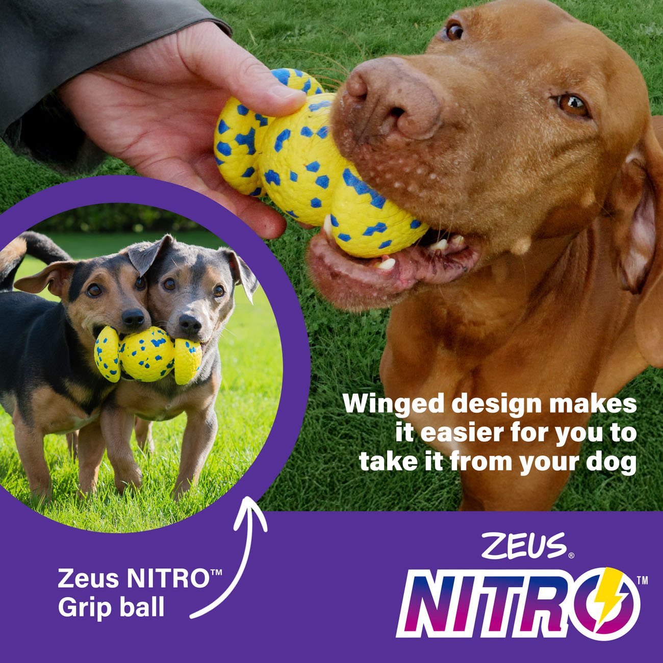 Zeus Nitro Weighted Grip Ball Dog Toy