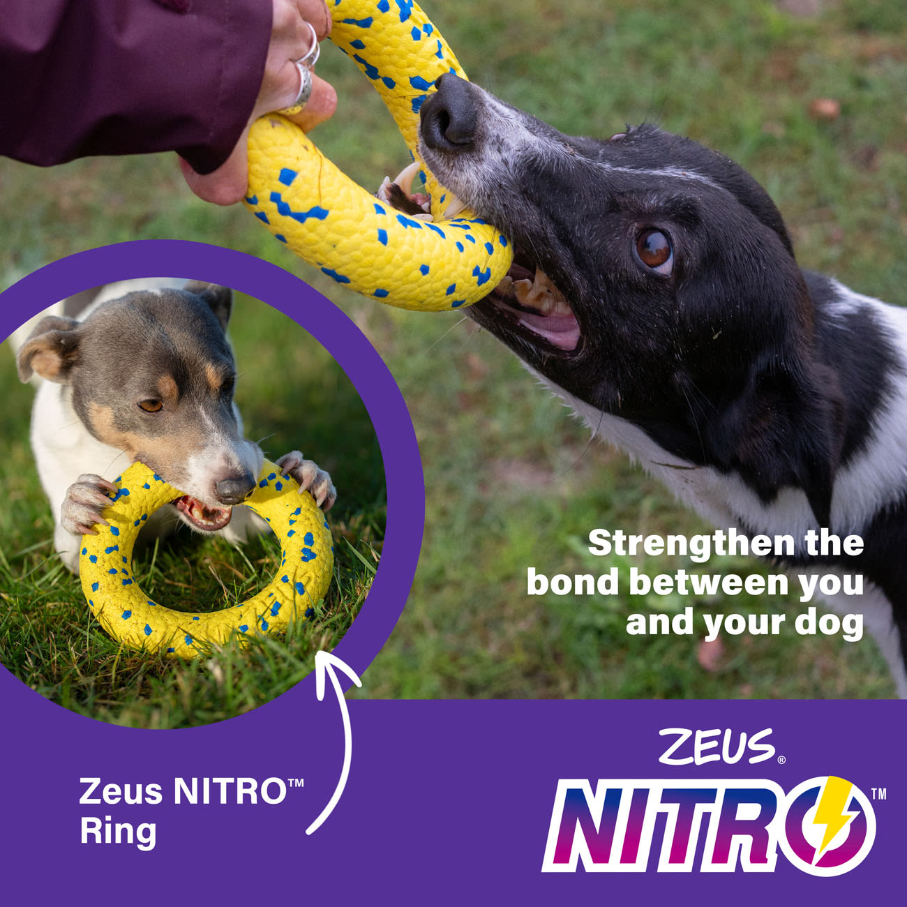 Zeus Nitro Ring Dog Toy