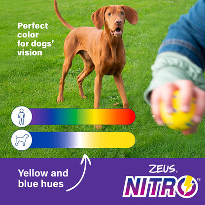Zeus Nitro Tugger Dog Toy