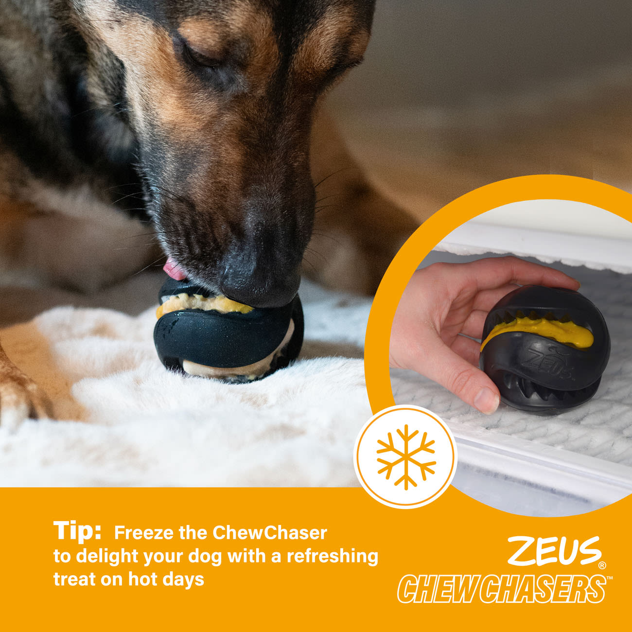 Zeus ChewChasers Treat Ball Dog Toy