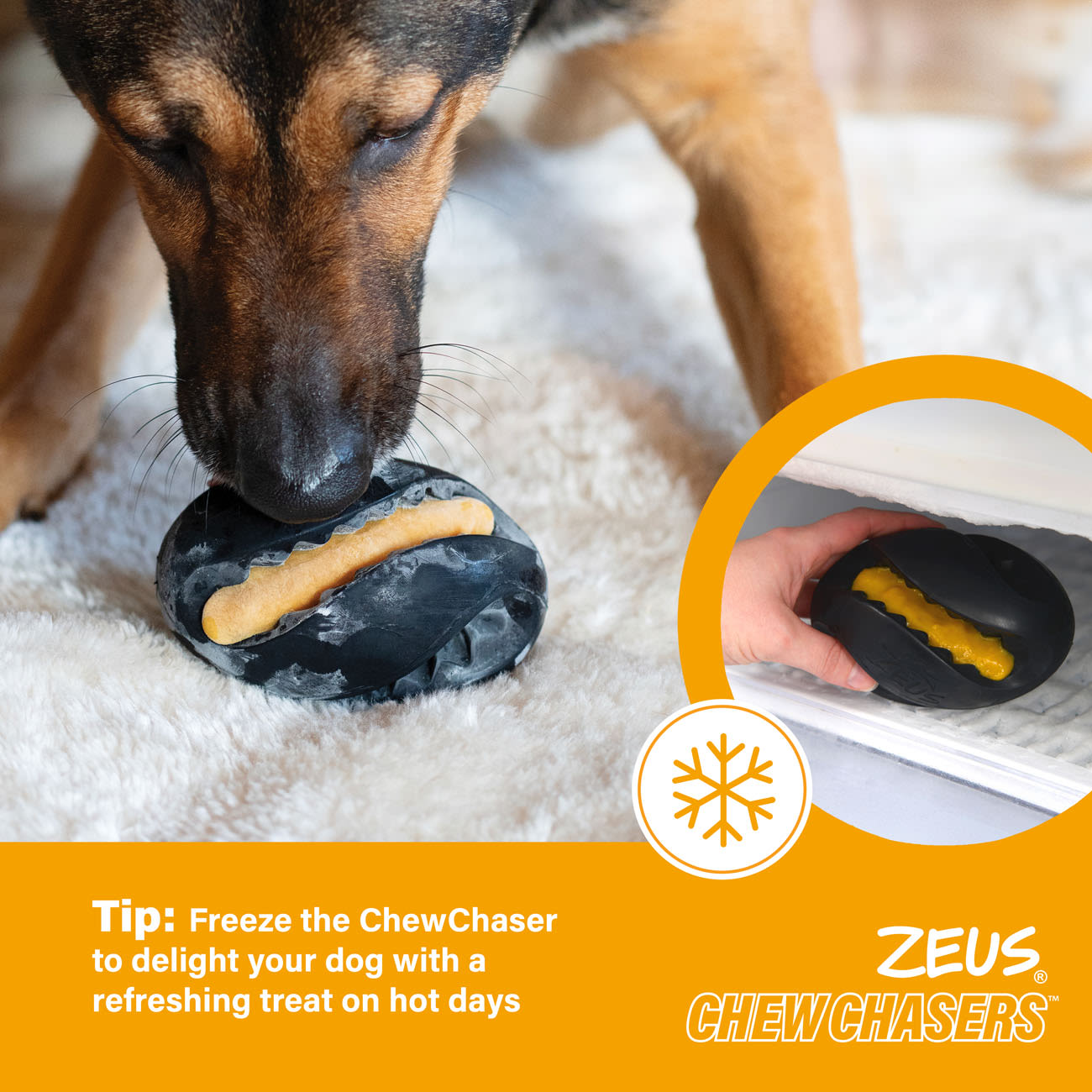Zeus ChewChasers Treat Rugby Dog Toy