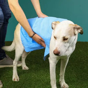 Just Chillin' Cooling Dog Towel