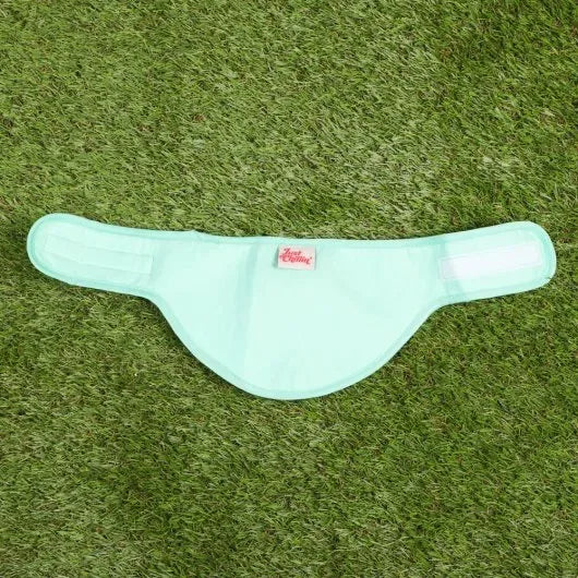 Just Chillin' Cooling Bandana Dog Collar