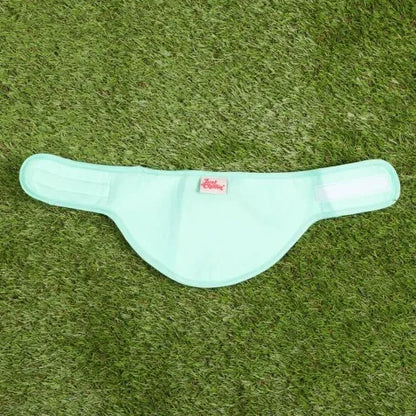 Just Chillin' Cooling Bandana Dog Collar