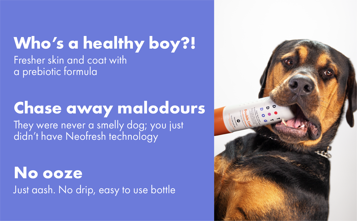 DotDotPet Short Coat Conditioning Dog Shampoo