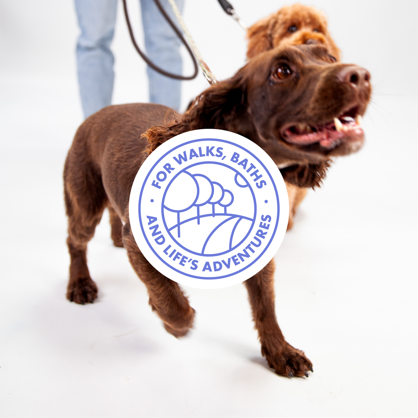 DotDotPet Biodegradable Eco Dog Towels - 20 Pack