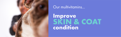 DotDotPet Multifit Multivitamins Dog Supplements