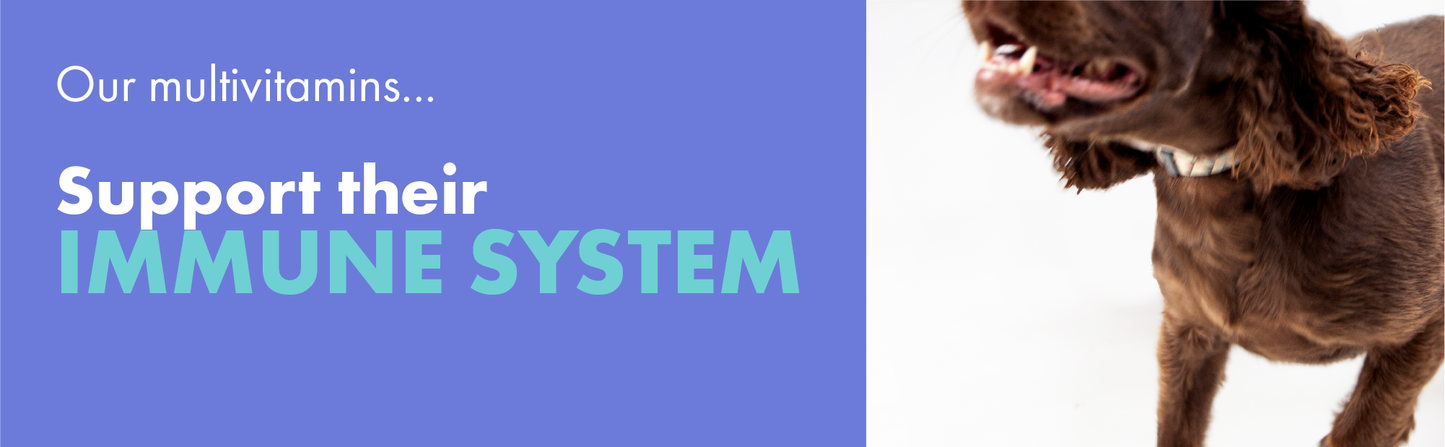 DotDotPet Multifit Multivitamins Dog Supplements