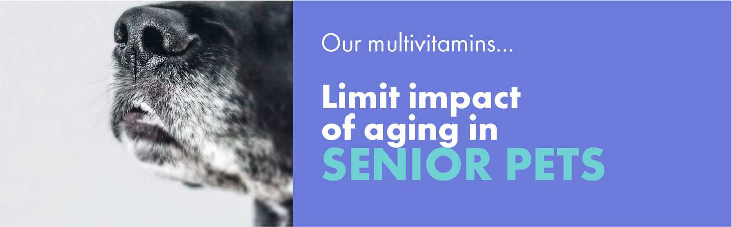 DotDotPet Multifit Multivitamins Dog Supplements