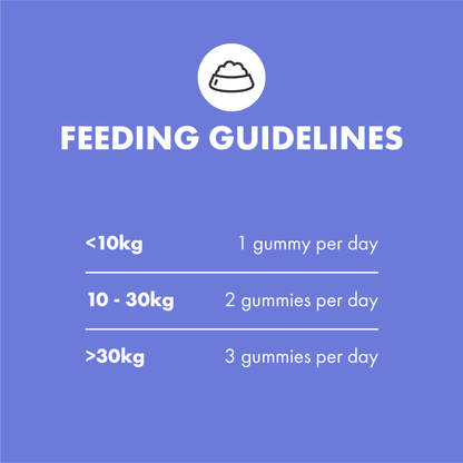 DotDotPet Multifit Multivitamins Dog Gummies