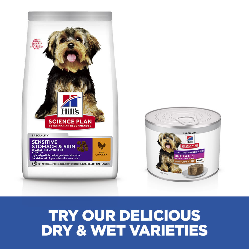 Hill's Science Plan Sensitive Stomach & Skin Small & Mini Adult Mousse with Turkey Wet Dog Food