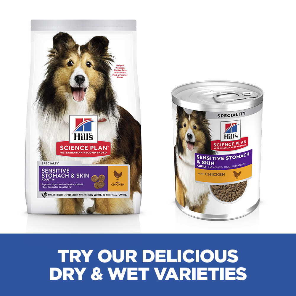 Hill's Science Plan Canine Adult Sensitive Stomach & Skin with Chicken Can Wet Dog Food