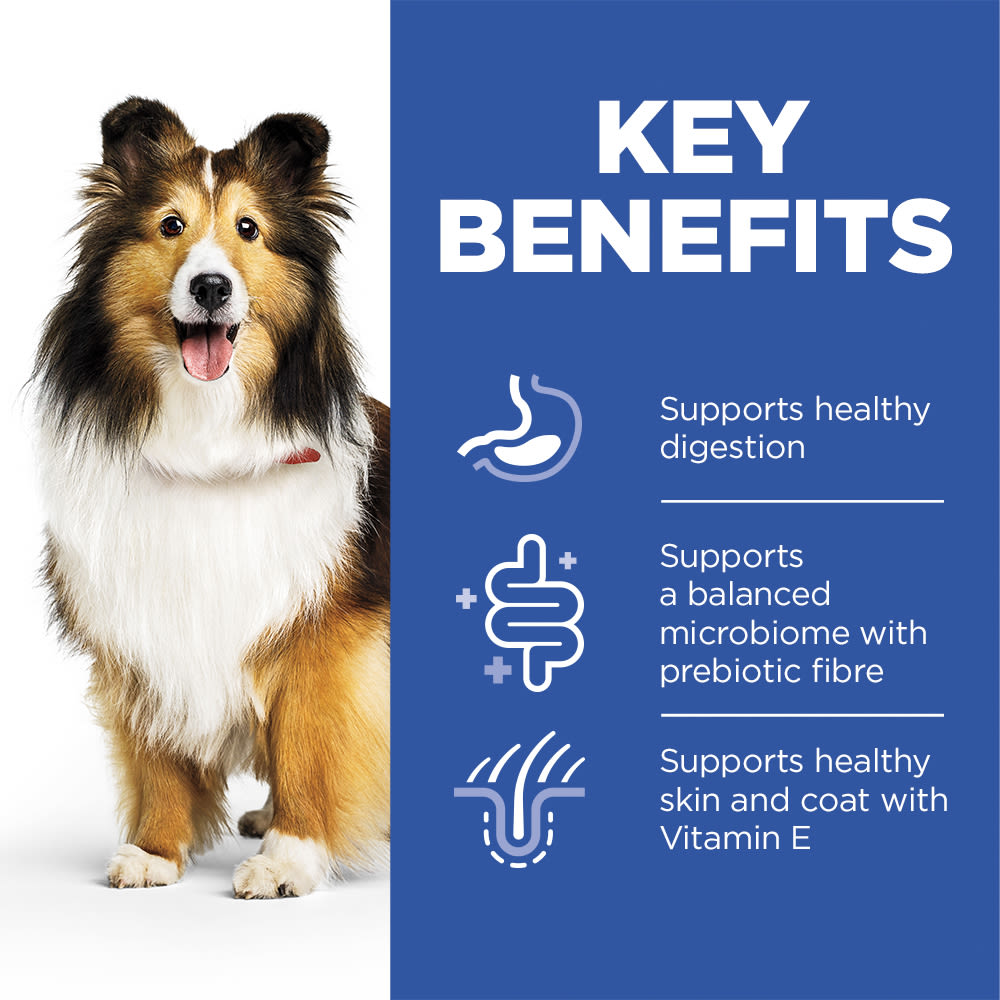 Hill's Science Plan Canine Adult Sensitive Stomach & Skin with Chicken Can Wet Dog Food