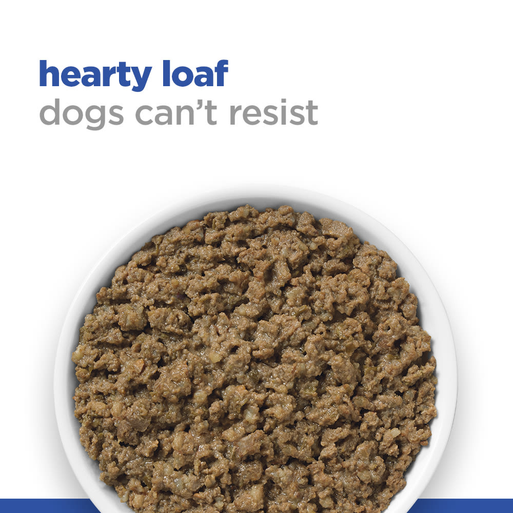 Hill's Science Plan Canine Adult Sensitive Stomach & Skin with Chicken Can Wet Dog Food