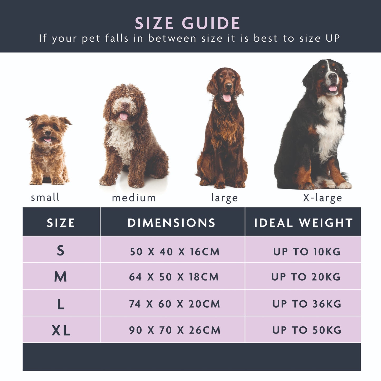 Dream Paws Almond White Boucle Dog Bed