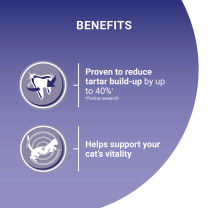 Purina One Bifensis Chicken Dry Cat Food