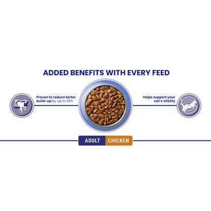 Purina One Bifensis Chicken Dry Cat Food