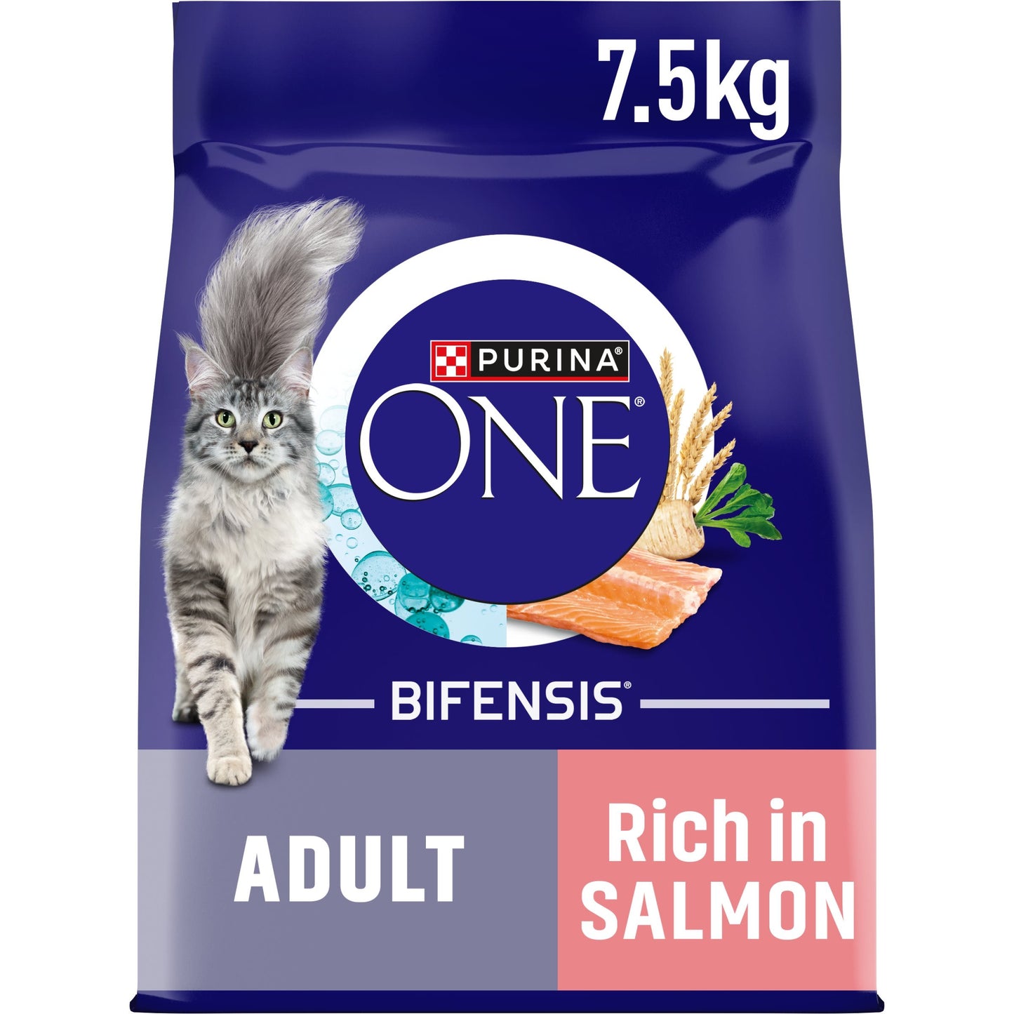 Purina One Bifensis Salmon Dry Cat Food