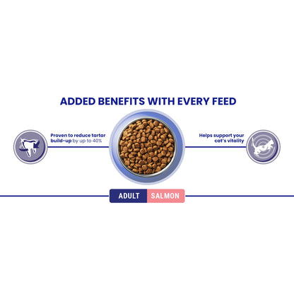 Purina One Bifensis Salmon Dry Cat Food