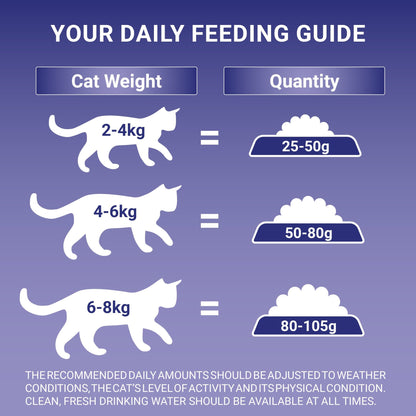 Purina One Senior 7+ Bifensis Chicken Dry Cat Food