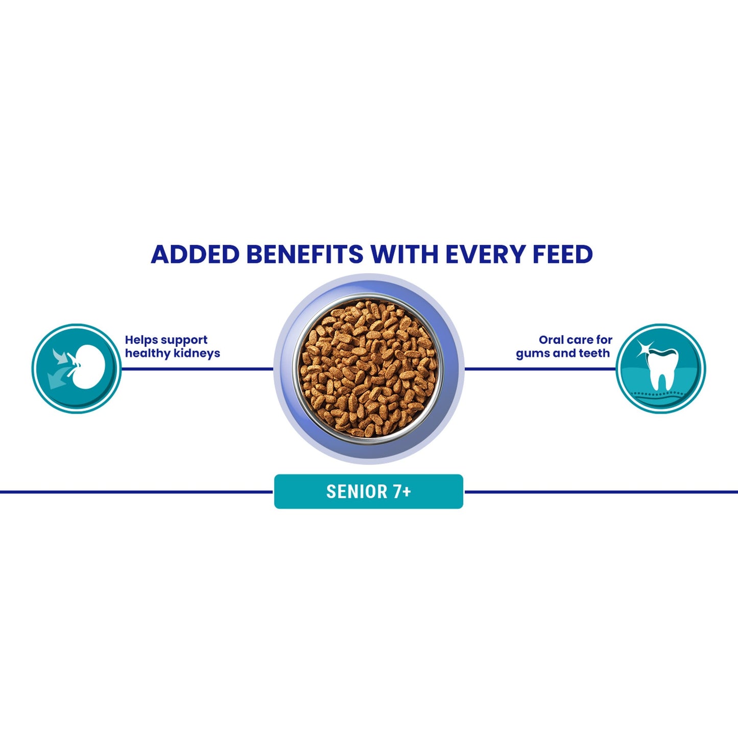 Purina One Senior 7+ Bifensis Chicken Dry Cat Food