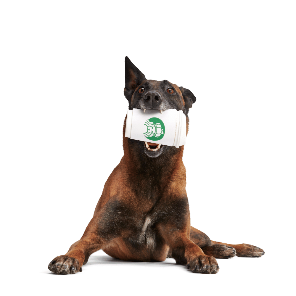 BARK Pupkin Spice Yappucino Dog Toy