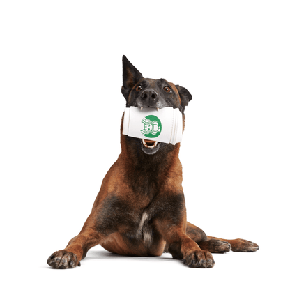 BARK Pupkin Spice Yappucino Dog Toy