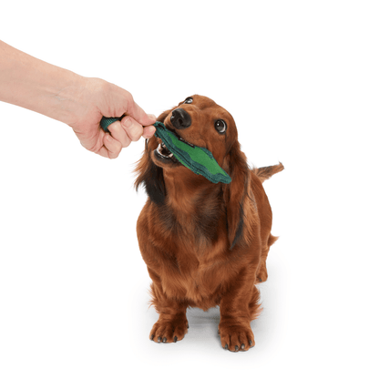 BARK A Green Chew Leaf Dog Toy