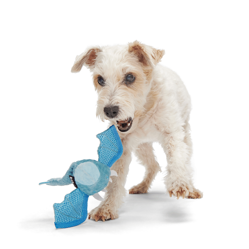 BARK Brrrtha The Dragon Dog Toy