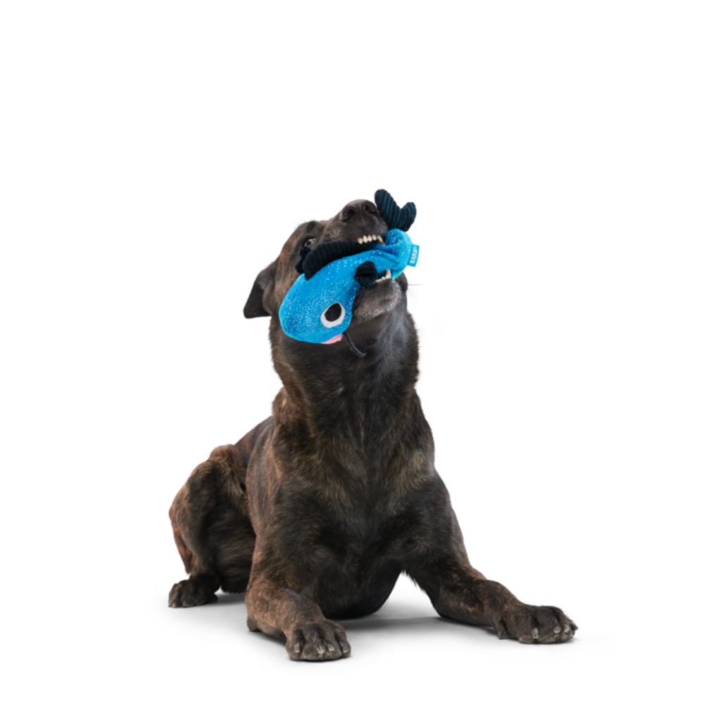 BARK Catfish Claude Dog Toy