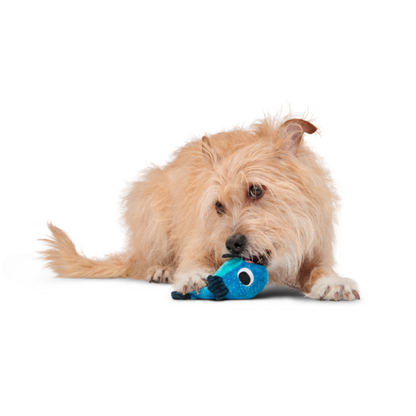 BARK Catfish Claude Dog Toy