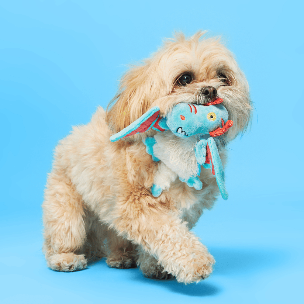 BARK Grimbold The Dragon Dog Toy