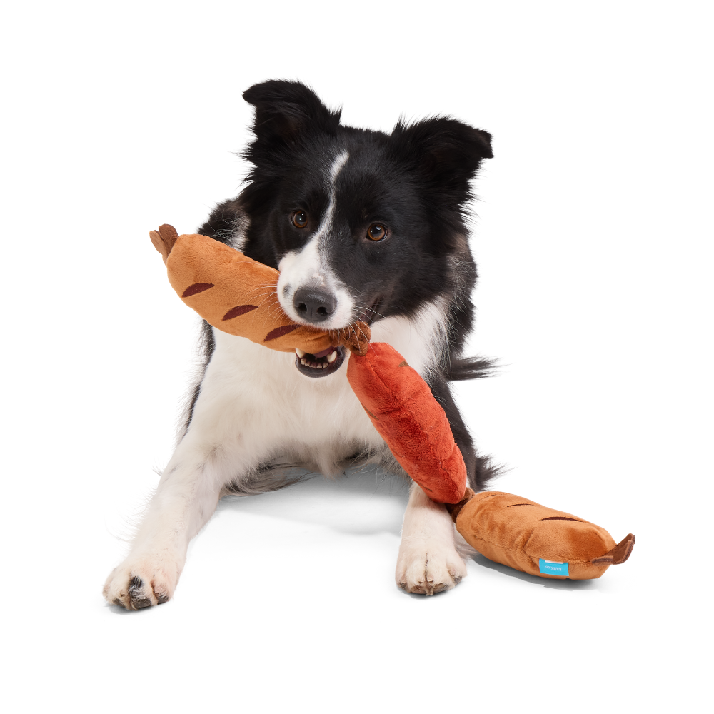 BARK Lickin' Links Dog Toy