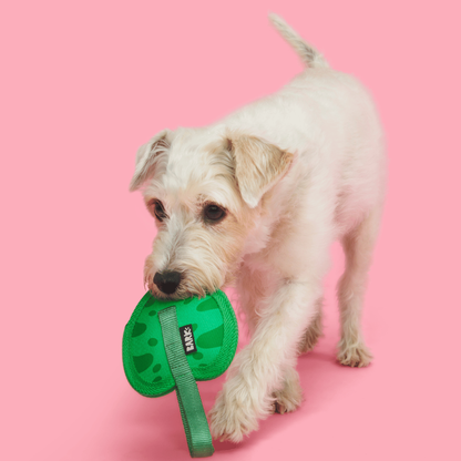 BARK Leaf Thrower Dog Toy