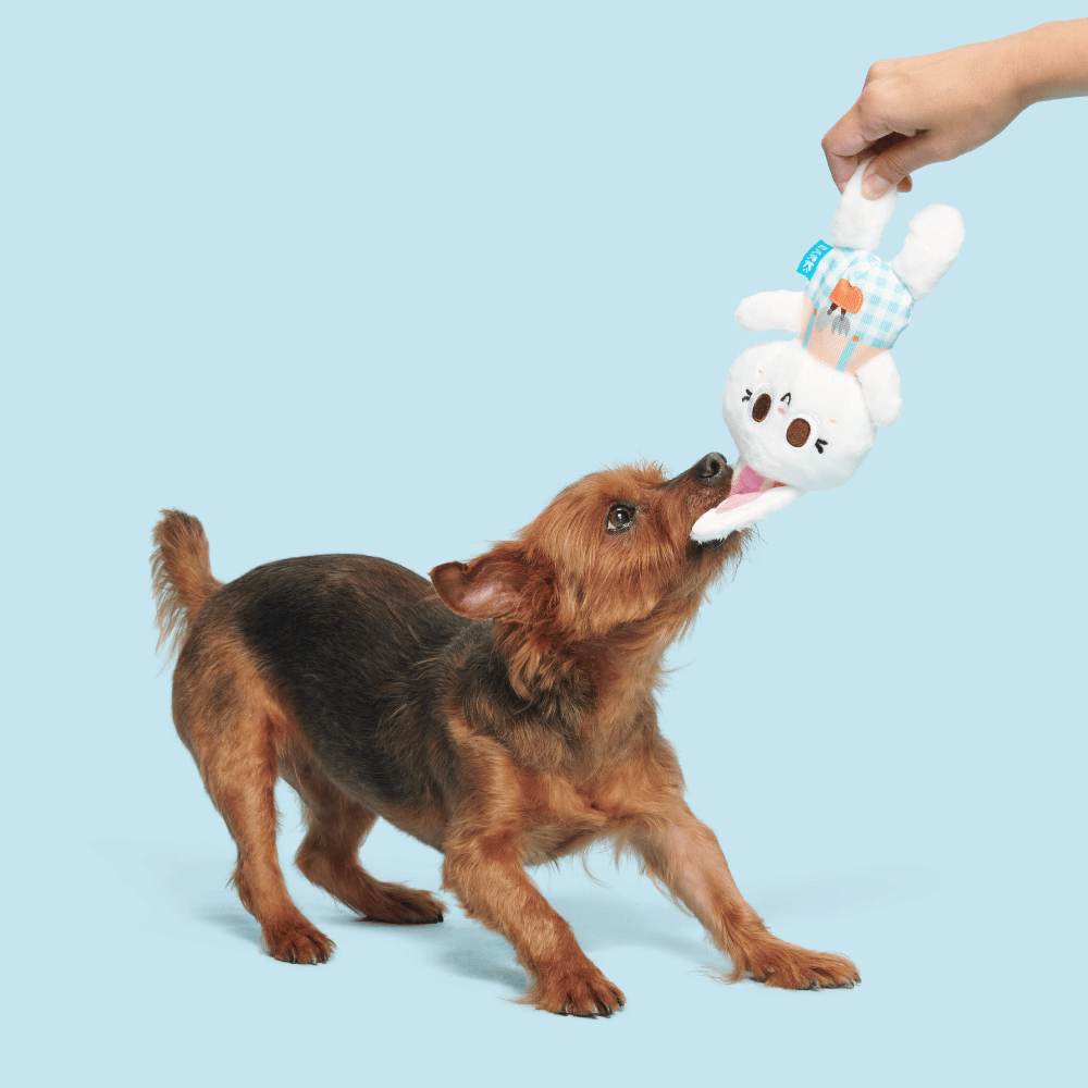 BARK Green Thumb Bun Dog Toy