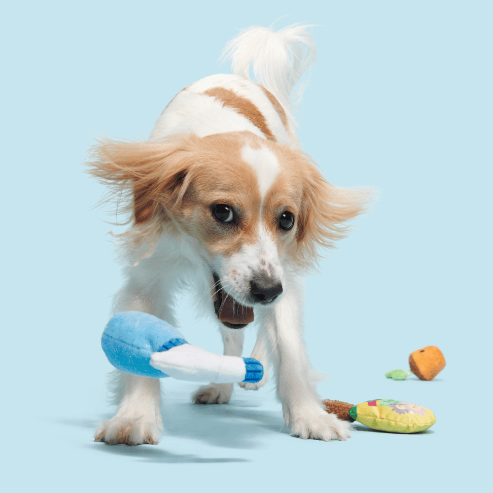 BARK Greenhouse Gang Dog Toy