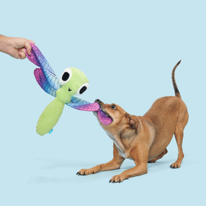 BARK Dragonfly Guy Dog Toy