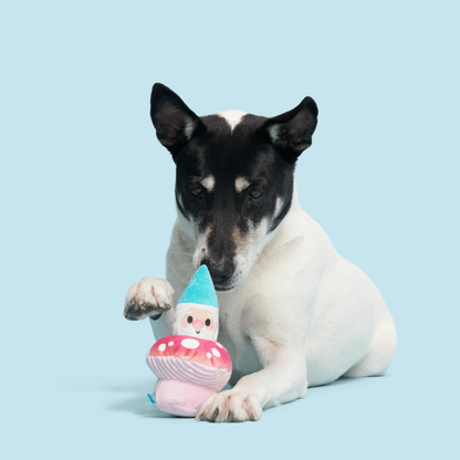 BARK Fun Guy Gnomie Homie Dog Toy