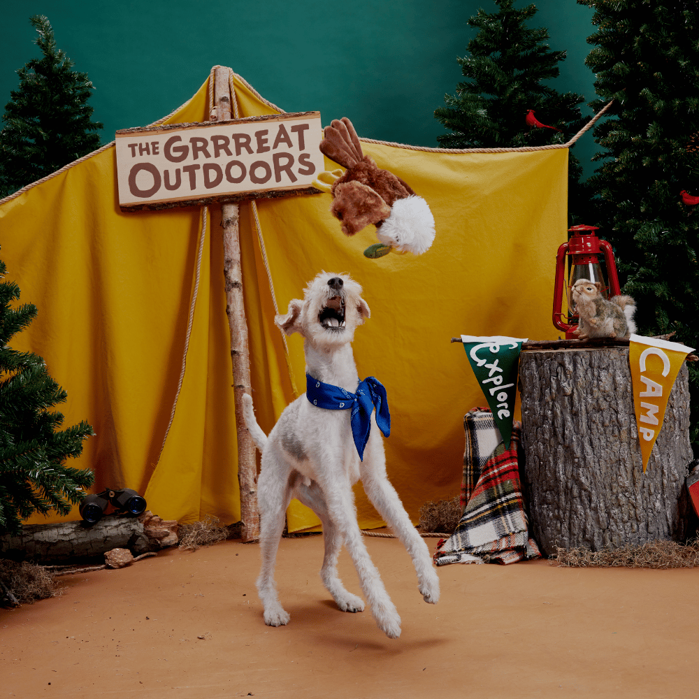 BARK Majestic Marty Dog Toy