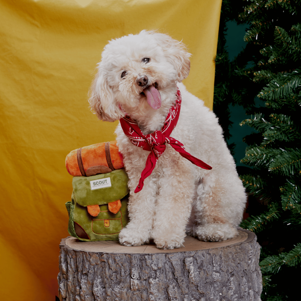 BARK Rowdy Ruckus Rucksack Dog Toy