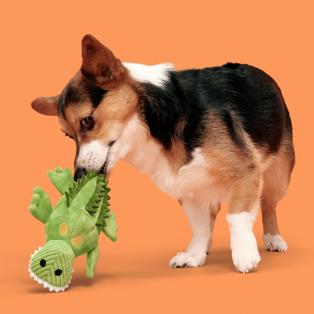 BARK Karri Crocodile Dog Toy