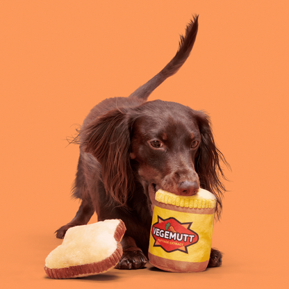 BARK Vegemutt Toast Dog Toy