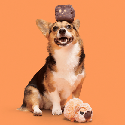 BARK Walken Wombat Dog Toy