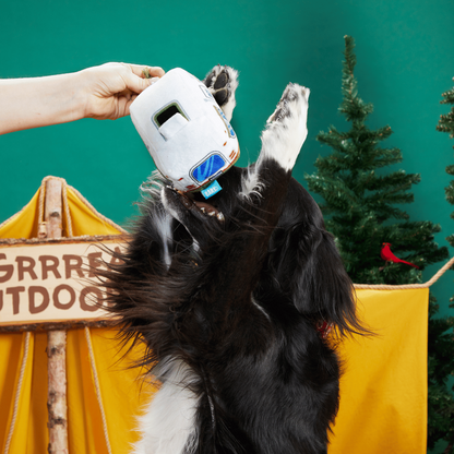 BARK Hairstream Trailer Dog Toy