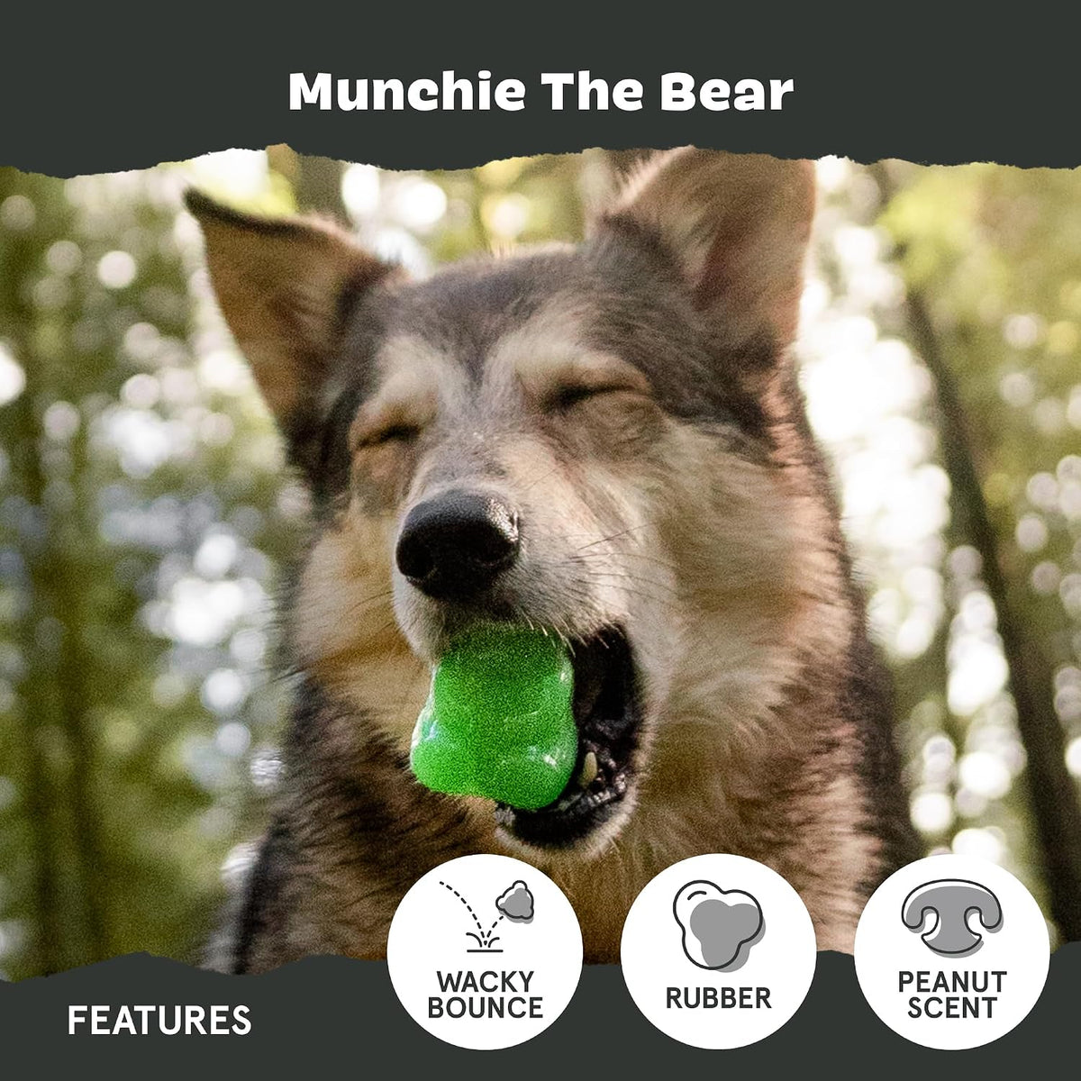 BARK Munchie The Bear Super Chewer Dog Toy