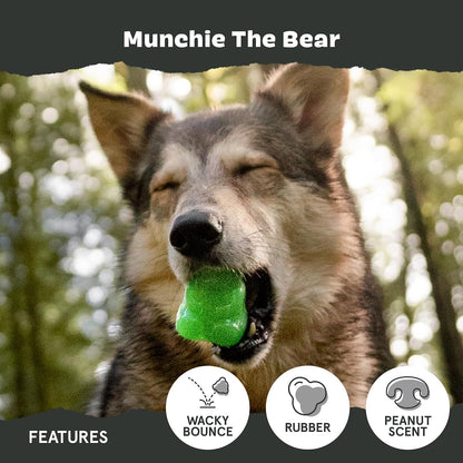 BARK Munchie The Bear Super Chewer Dog Toy