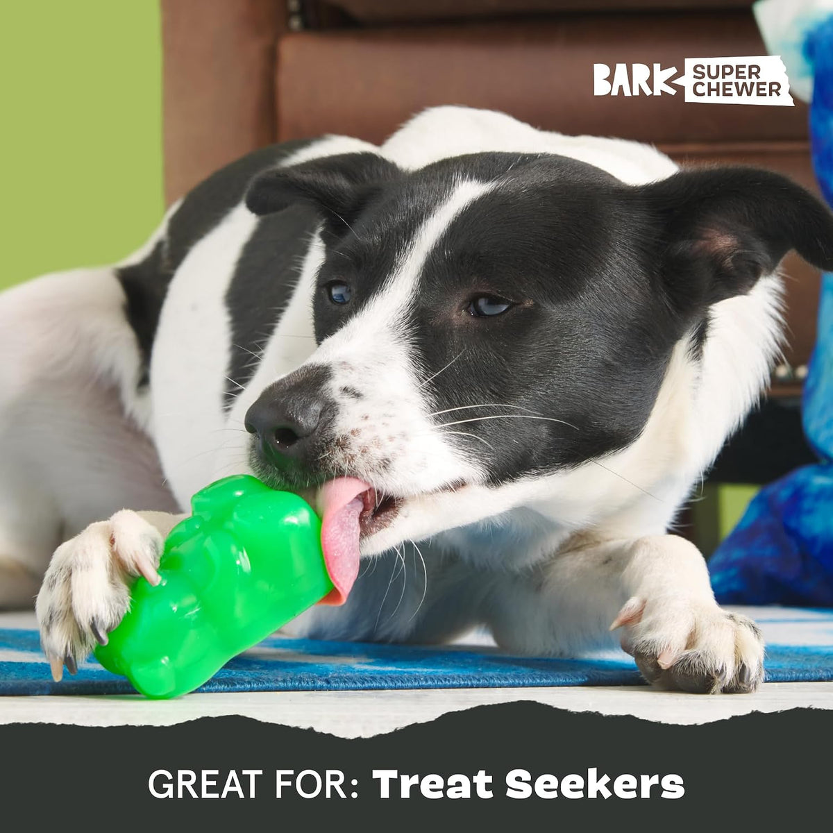BARK Munchie The Bear Super Chewer Dog Toy